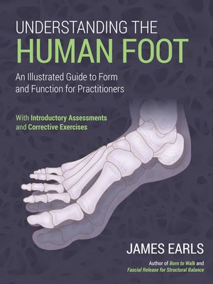 cover image of Understanding the Human Foot